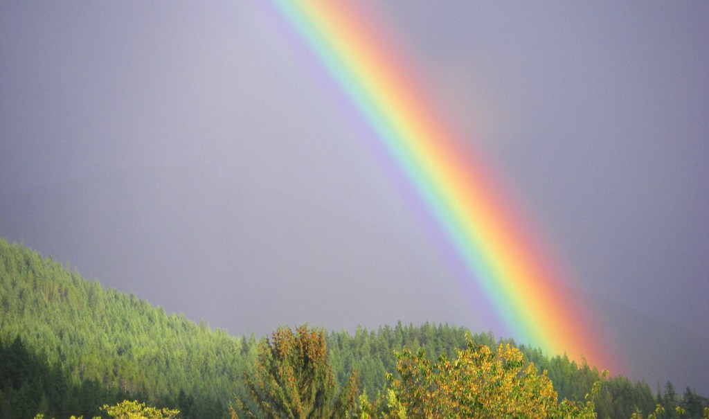 'sea-to-sky rainbow' is art isn't it?