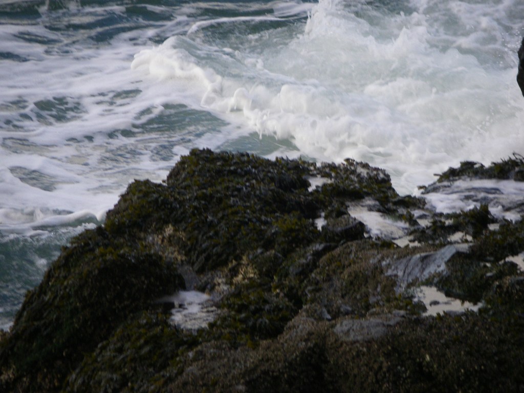 wash